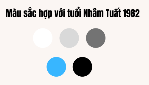 Tuổi Nhâm Tuất Sơn Nhà Màu Gì? Bí Kíp Chọn Màu Hợp Phong Thủy 1982