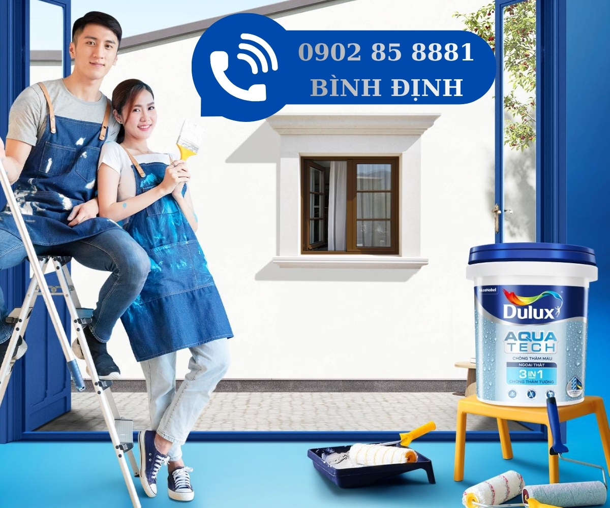 dai ly son dulux binh dinh quy nhon
