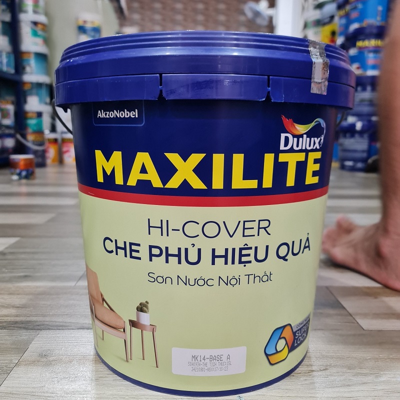 son maxilite noi that hicover